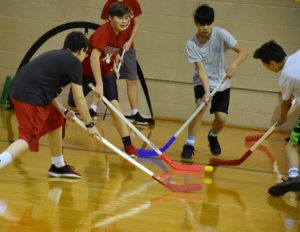 floor hockey physical education health