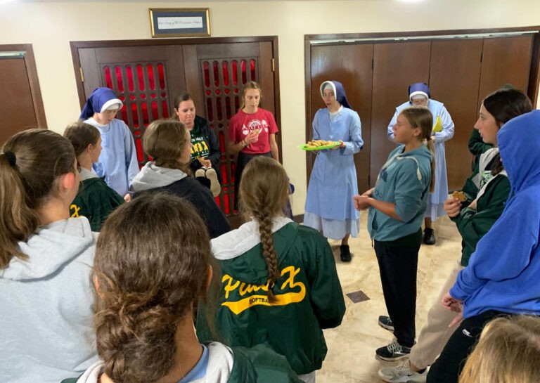 softball service activity 6