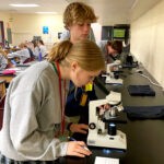 Kayla Boellstorff Biology 2