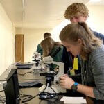 Kayla Boellstorff Biology 5