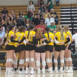 Volleyball Feature Picture