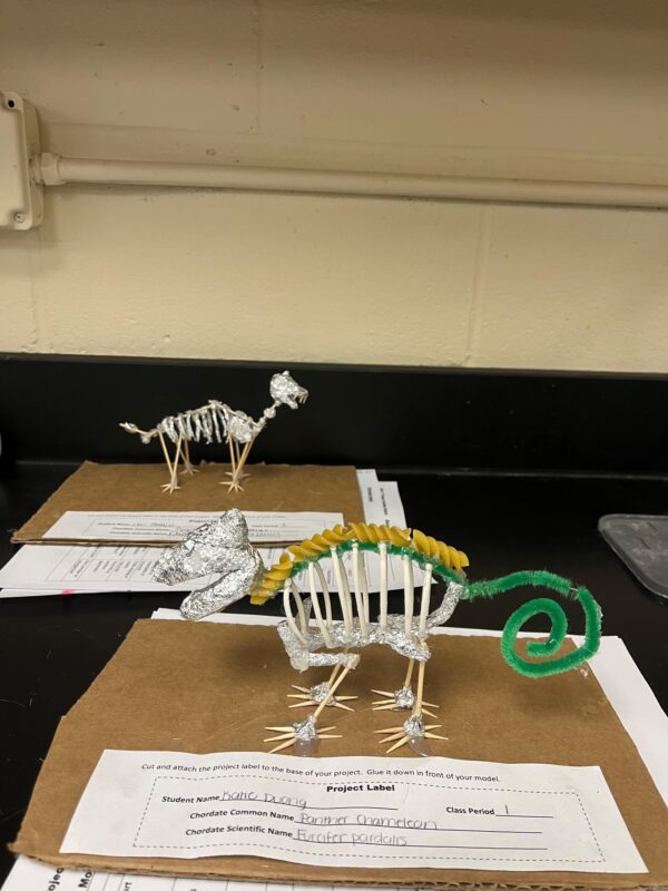 Sarah Biology project
