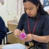 Biology Dissection Lab 11