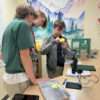 Biology Dissection Lab 13