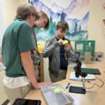 Biology Dissection Lab 13