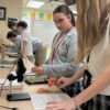 Biology Dissection Lab 14