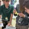 Biology Dissection Lab 16