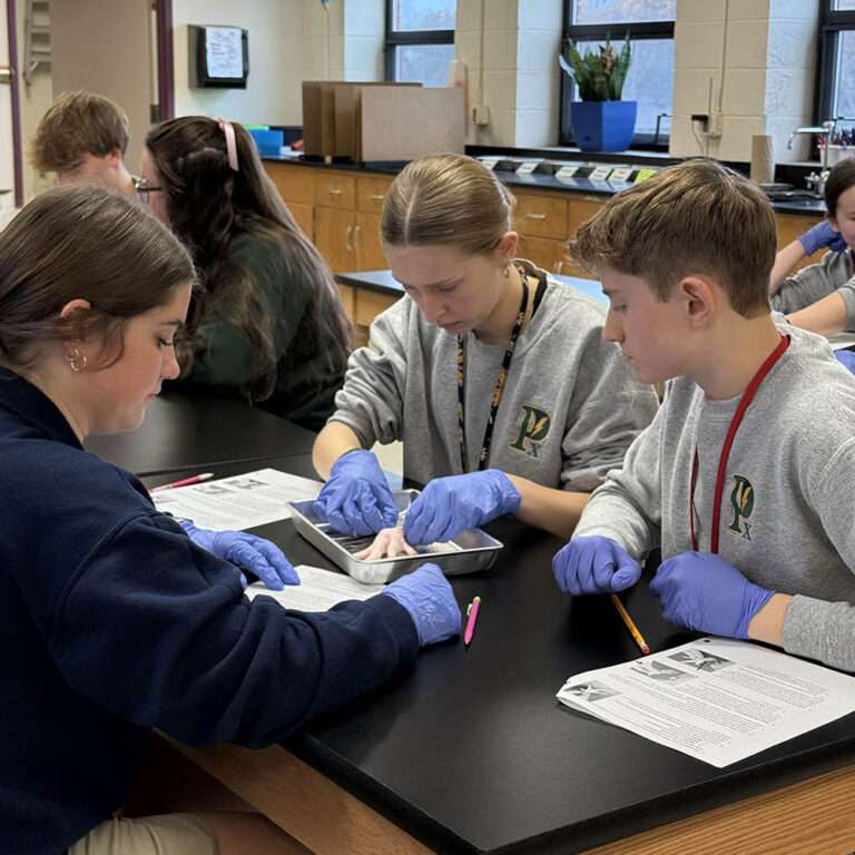 anatomy dissection lab 4